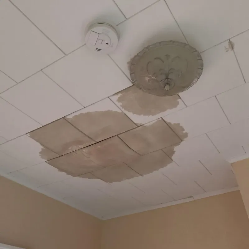 Ceiling Water Damage Repair in Coal County, OK