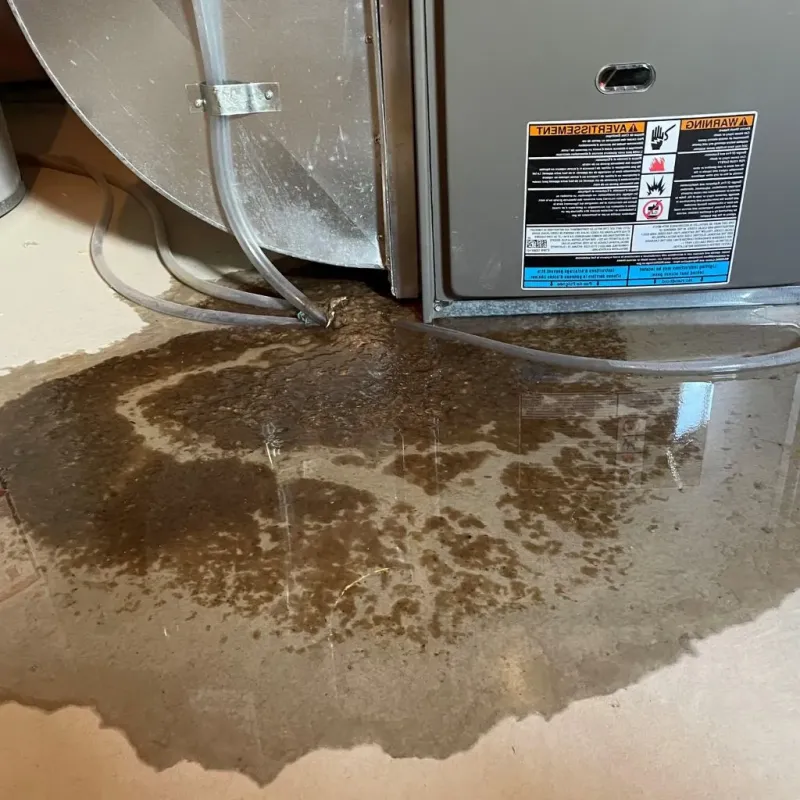Pipe Burst and Leak Restoration in Coal County, OK