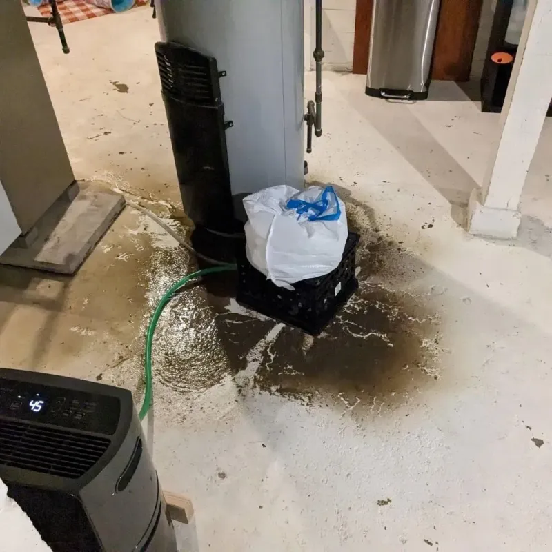 Sewage Backup Cleanup Service in Coal County, OK